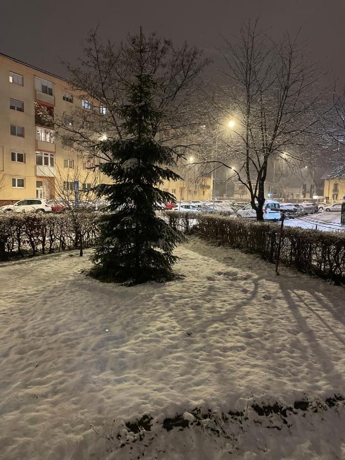 Twin Apartments Сібіу Екстер'єр фото
